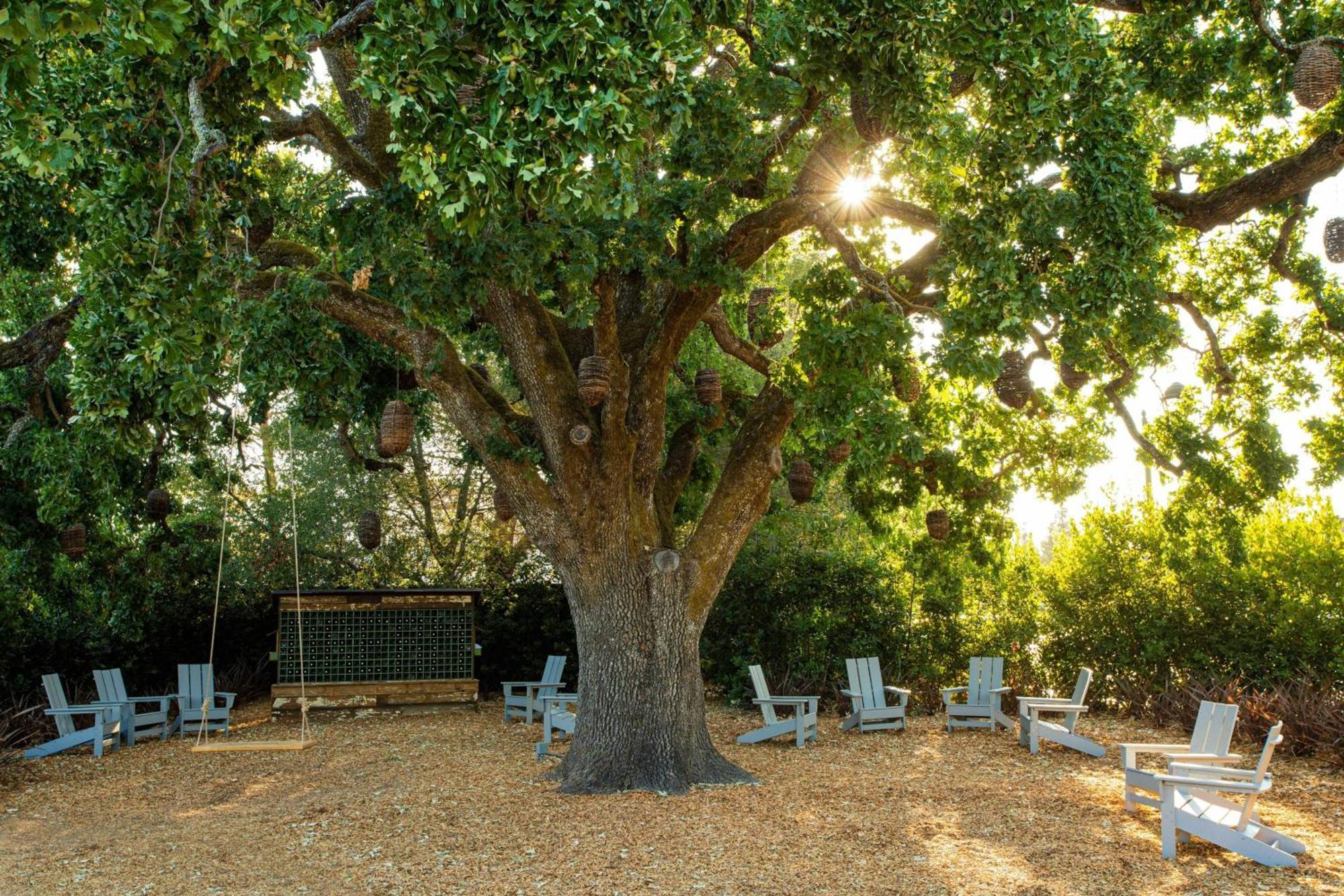 The Lodge At Sonoma Resort, Autograph Collection Exterior foto